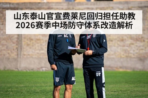 山东泰山官宣费莱尼回归担任助教 2026赛季中场防守体系改造解析