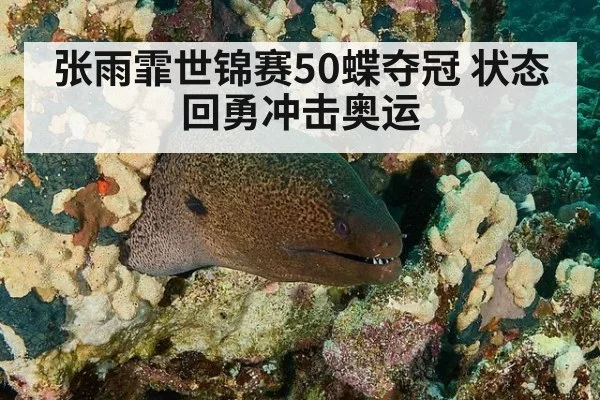 张雨霏世锦赛50蝶夺冠 状态回勇冲击奥运