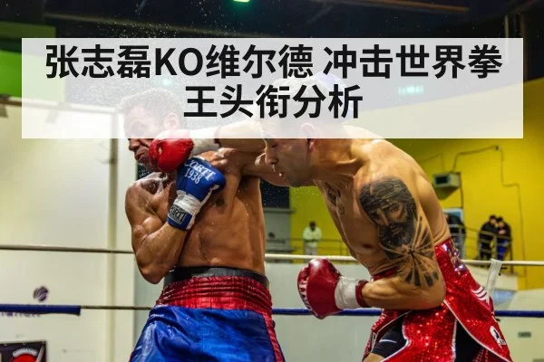 boxing knockout punch