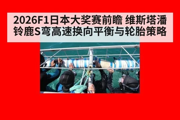 2026F1日本大奖赛前瞻 维斯塔潘铃鹿S弯高速换向平衡与轮胎策略